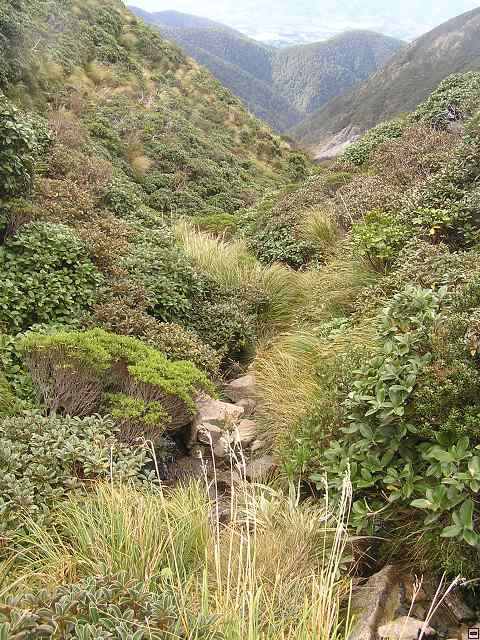 Ruahine - Sunrise Hut 079.jpg